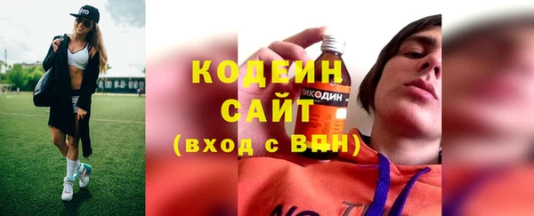 индика Вязьма