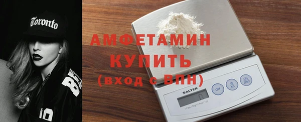 индика Вязьма