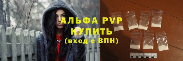 прущие грибы Волоколамск