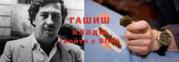 индика Вязьма