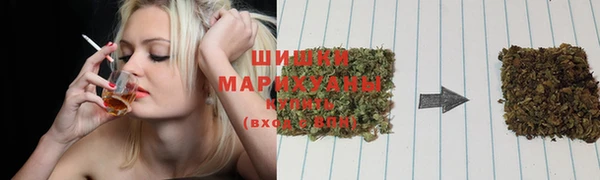 прущие грибы Волоколамск