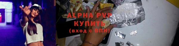 прущие грибы Волоколамск