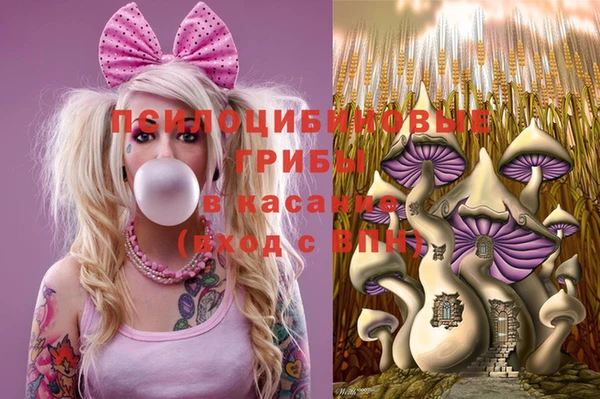 индика Вязьма