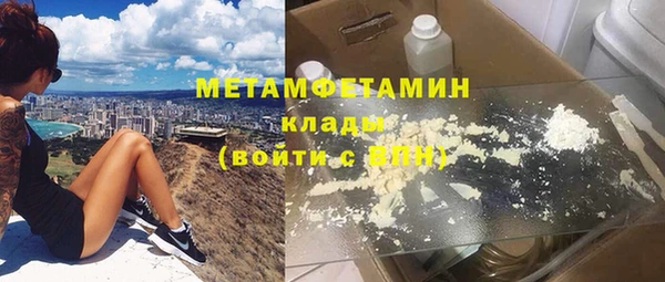 прущие грибы Волоколамск