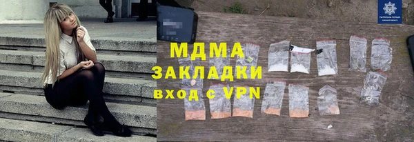 прущие грибы Вяземский