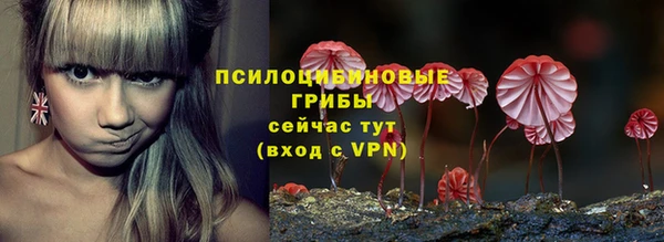 прущие грибы Волоколамск