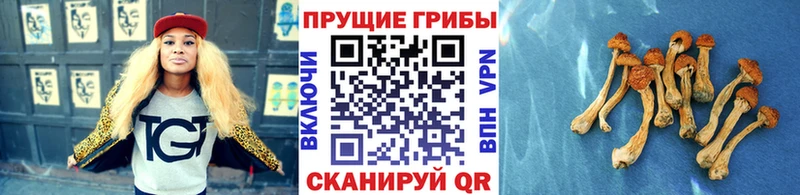 Галлюциногенные грибы ЛСД Березники