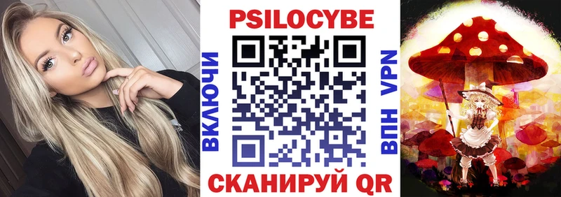 Псилоцибиновые грибы мицелий  hydra зеркало  Березники 